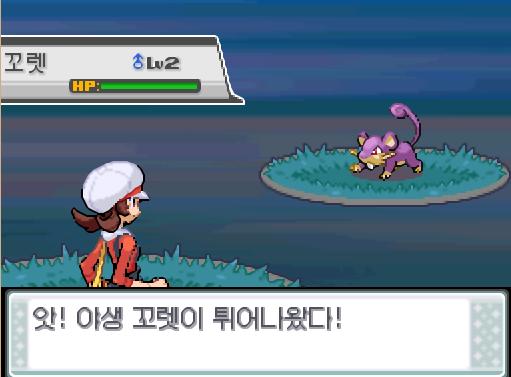앗! 야생 꼬렛이 튀어나왔다! 가랏! 마릴! 마릴의 발경! 효과는 굉장했다! 야생 꼬렛은 쓰러졌다! 마릴은 많은 양의 768 경험치를 얻었다!