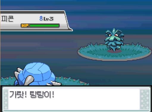 29번 도로의 포켓몬 조우 가능 횟수 최대 3회, 현재 1회 29번 도로의 포켓몬 포획 가능 횟수 최대 1회, 현재 0회 연가람은 29번 도로에