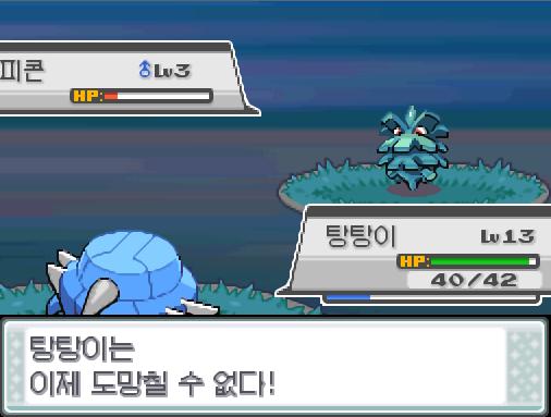 29번 도로의 포켓몬 조우 가능 횟수 최대 3회, 현재 1회 29번 도로의 포켓몬 포획 가능 횟수 최대 1회, 현재 0회 피콘의 거미집! (분명