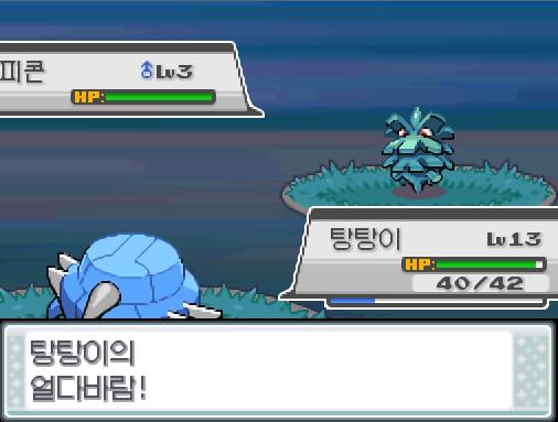29번 도로의 포켓몬 조우 가능 횟수 최대 3회, 현재 1회 29번 도로의 포켓몬 포획 가능 횟수 최대 1회, 현재 0회 탕탕이의 얼다바람! 야