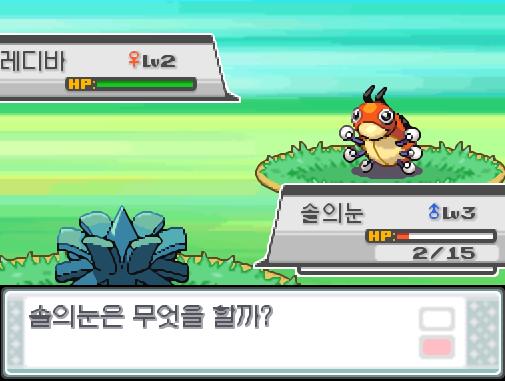 29번 도로의 포켓몬 조우 가능 횟수 최대 3회, 현재 2회 앗! 야생 레디바가 튀어나왔다! 가랏! 솔의눈! 솔의눈은 무엇을 할까? >>201