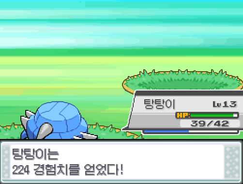탕탕이의 얼다바람! 급소에 맞았다! 효과가 굉장했다! 야생 레디바는 쓰러졌다! 솔의눈은 224 경험치를 얻었다! 솔의눈은 레벨 6으로 올랐다!