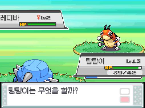 연가람은 솔의눈과 탕탕이를 교체했다. 야생 레디바의 연속 자르기! 탕탕이는 무엇을 할까? >>204 싸운다: 메탈크로우35/얼다바람14/마그넷봄