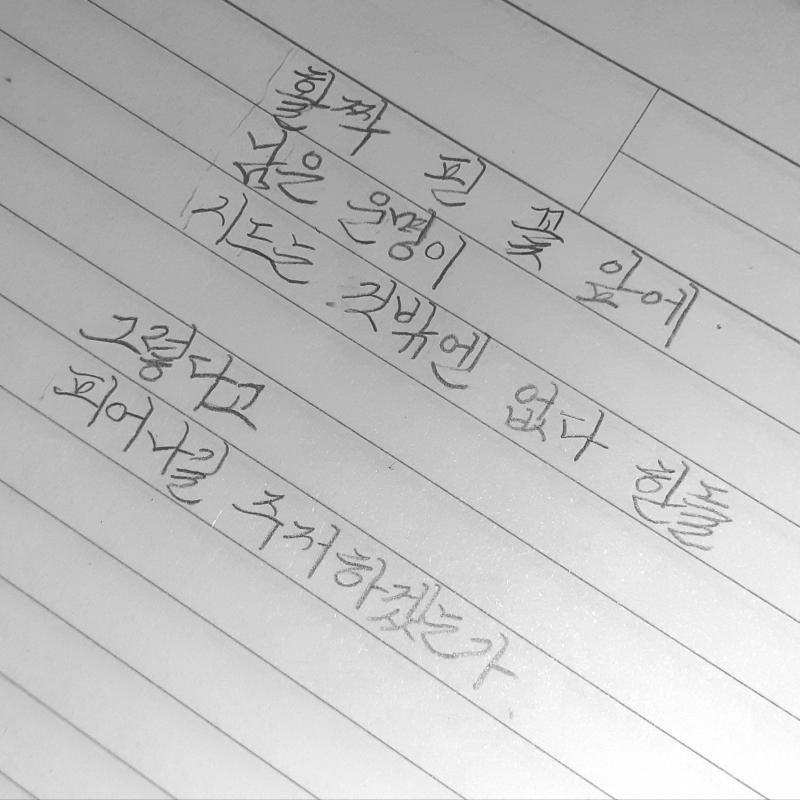 활짝 핀 꽃 앞에 남은 운명이 시드는 것밖엔 없다 한들 그렇다고 피어나길 주저하겠는가