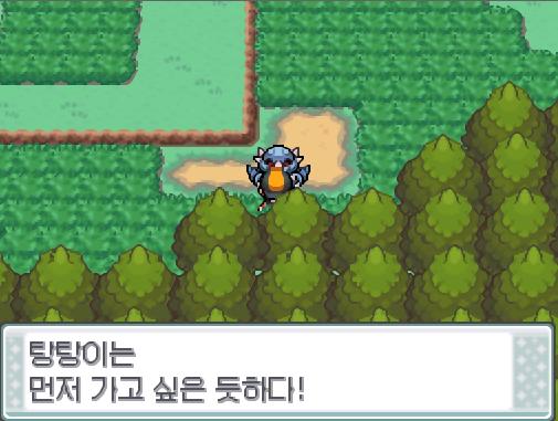 새로운 친구가 생긴 김에 탕탕이에게 말을 걸었다. 탕탕이는 먼저 가고 싶은 듯하다! 가장 첫번째 칸에 있는 포켓몬은 연가람과 함께 걸어다니고,