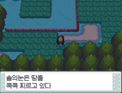 승리한 기념으로 솔의눈에게 말을 걸어보았다. 솔의눈은 땅을 콕콕 찌르고 있다.