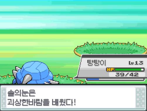 탕탕이의 얼다바람! 급소에 맞았다! 효과가 굉장했다! 야생 레디바는 쓰러졌다! 솔의눈은 224 경험치를 얻었다! 솔의눈은 레벨 6으로 올랐다!