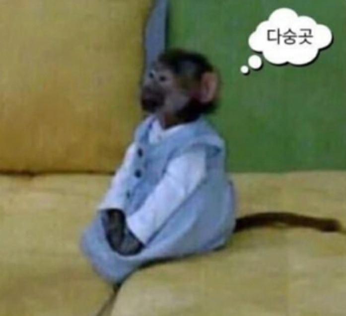 k-예의숭