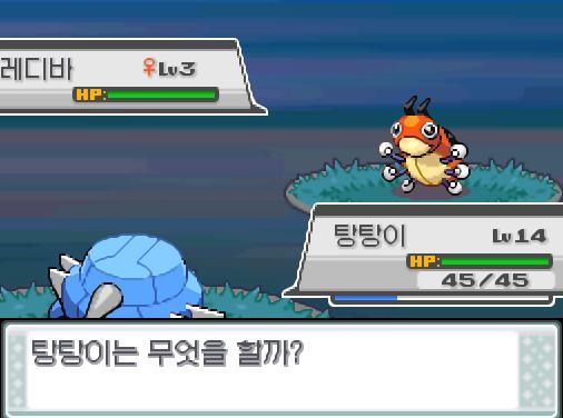 30번 도로에서 포켓몬과 만날 수 있는 횟수 최대 3회/현재 1회 30번 도로에서 트레이너와 배틀할 수 있는 횟수 최대 2회/현재 0회 30번