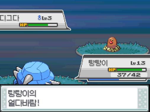 탕탕이의 얼다바람! 효과는 굉장했다! 야생 디그다는 쓰러졌다!