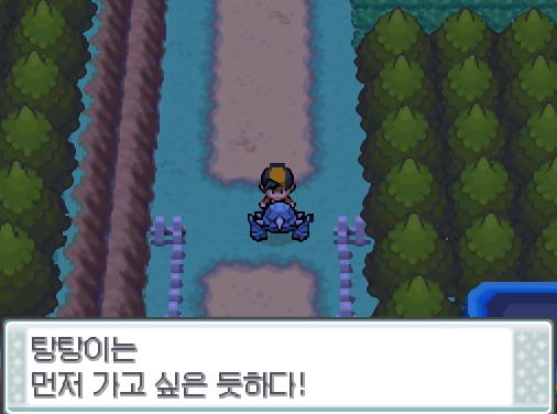 연가람은 탕탕이를 몬스터볼에서 꺼내고 말을 걸어보았다. 탕탕이는 먼저 가고 싶은듯하다! 연가람은 30번 도로로 향했다.
