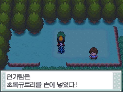 29번도로를 지나는 도중 연가람은 초록규토리를 얻었다!