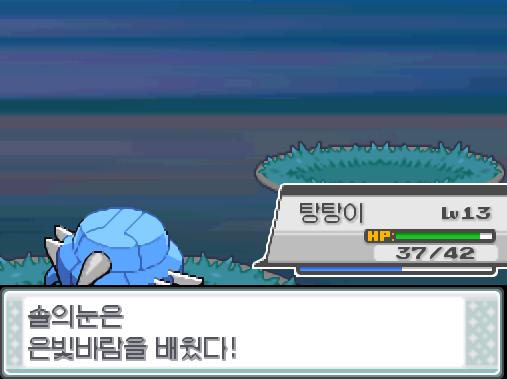 솔의눈은 554 경험치를 얻었다! 솔의눈은 레벨 9로 올랐다! 솔의눈은 은빛바람을 배웠다! 탕탕이는 554 경험치를 얻었다! 탕탕이는 레벨 14