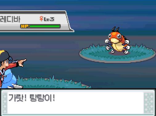 30번 도로에서 포켓몬과 만날 수 있는 횟수 최대 3회/현재 1회 30번 도로에서 트레이너와 배틀할 수 있는 횟수 최대 2회/현재 0회 30번