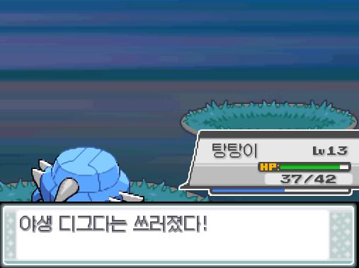 탕탕이의 얼다바람! 효과는 굉장했다! 야생 디그다는 쓰러졌다!