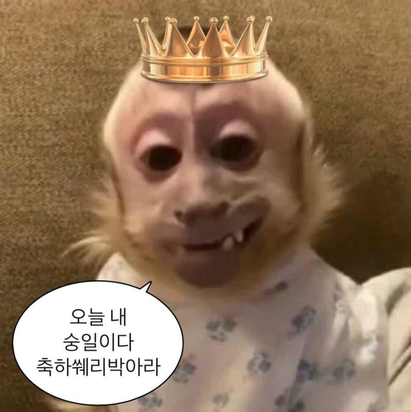 오늘 숭레주 생일이다 축하인사 박아라