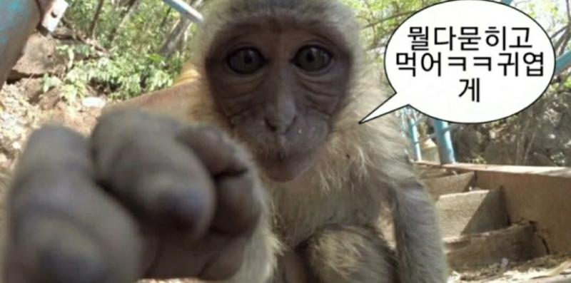 숭크릿가든
