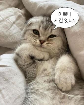 모든 짤에 빠진 숭레주를 위해 아무 짤이나 올려도 상관없숭 숭이짤만 하나 껴서 올리면 감사하겟숭💜