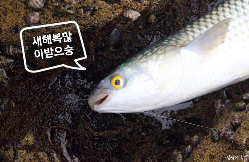 >>137 하나 만들어봣어