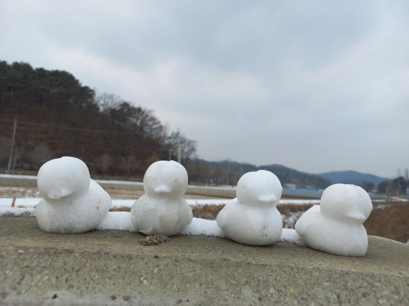 어제 산책하면서 본 눈오리