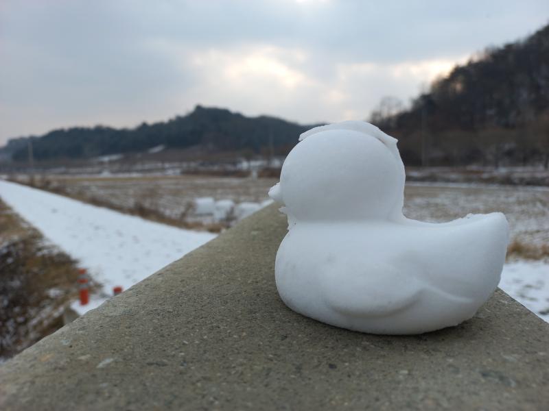 어제 산책하면서 본 눈오리