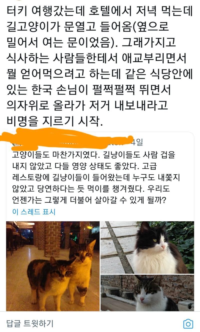 트위터에서 또 길냥이 플로우 도나본데 트짹 얘네가 진짜로 고양이를 좋아하기만하는 사람이 아니라 사람위에 동물있다라는 생각을 가진 사람이라는걸 다