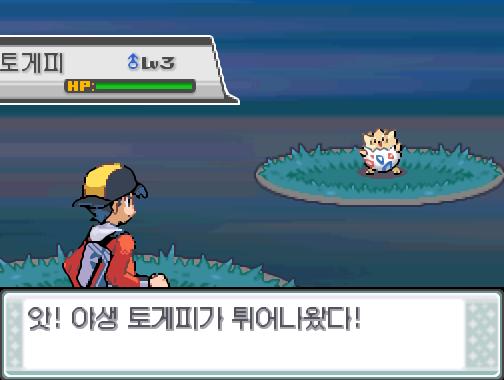 30번 도로에서 포켓몬과 만날 수 있는 횟수 최대 3회/현재 2회 30번 도로에서 트레이너와 배틀할 수 있는 횟수 최대 2회/현재 0회 30번