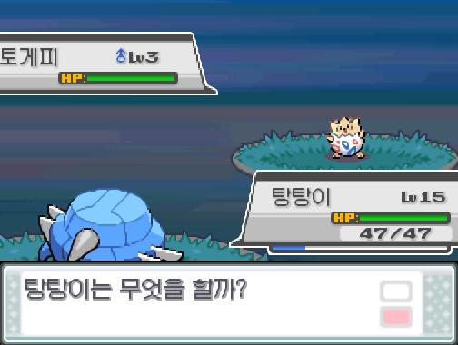30번 도로에서 포켓몬과 만날 수 있는 횟수 최대 3회/현재 2회 30번 도로에서 트레이너와 배틀할 수 있는 횟수 최대 2회/현재 0회 30번