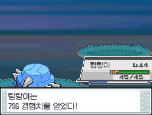 탕탕이의 얼다바람! 효과가 굉장했다! 야생 레디바는 쓰러졌다! 탕탕이는 736 경험치를 얻었다! 탕탕이는 레벨 15로 올랐다!