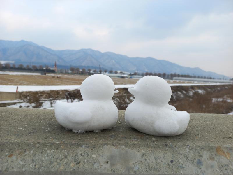 어제 산책하면서 본 눈오리