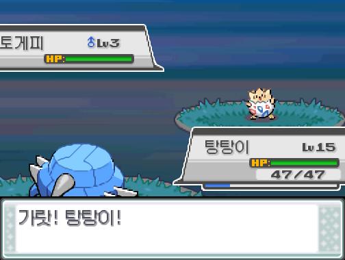 30번 도로에서 포켓몬과 만날 수 있는 횟수 최대 3회/현재 2회 30번 도로에서 트레이너와 배틀할 수 있는 횟수 최대 2회/현재 0회 30번