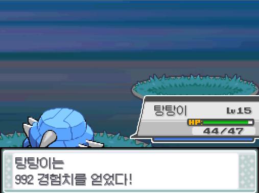 탕탕이의 메탈크로우! 야생 토케피는 쓰러졌다! 탕탕이는 992 경험치를 얻었다! 탕탕이는 레벨 16으로 올랐다!