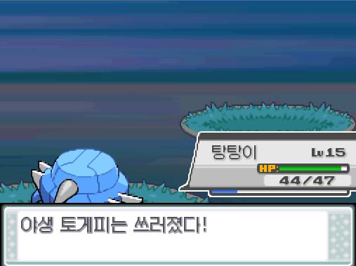 탕탕이의 메탈크로우! 야생 토케피는 쓰러졌다! 탕탕이는 992 경험치를 얻었다! 탕탕이는 레벨 16으로 올랐다!