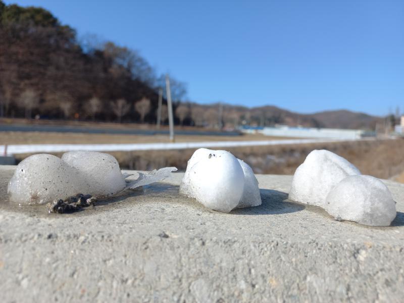눈오리들이 녹았네...