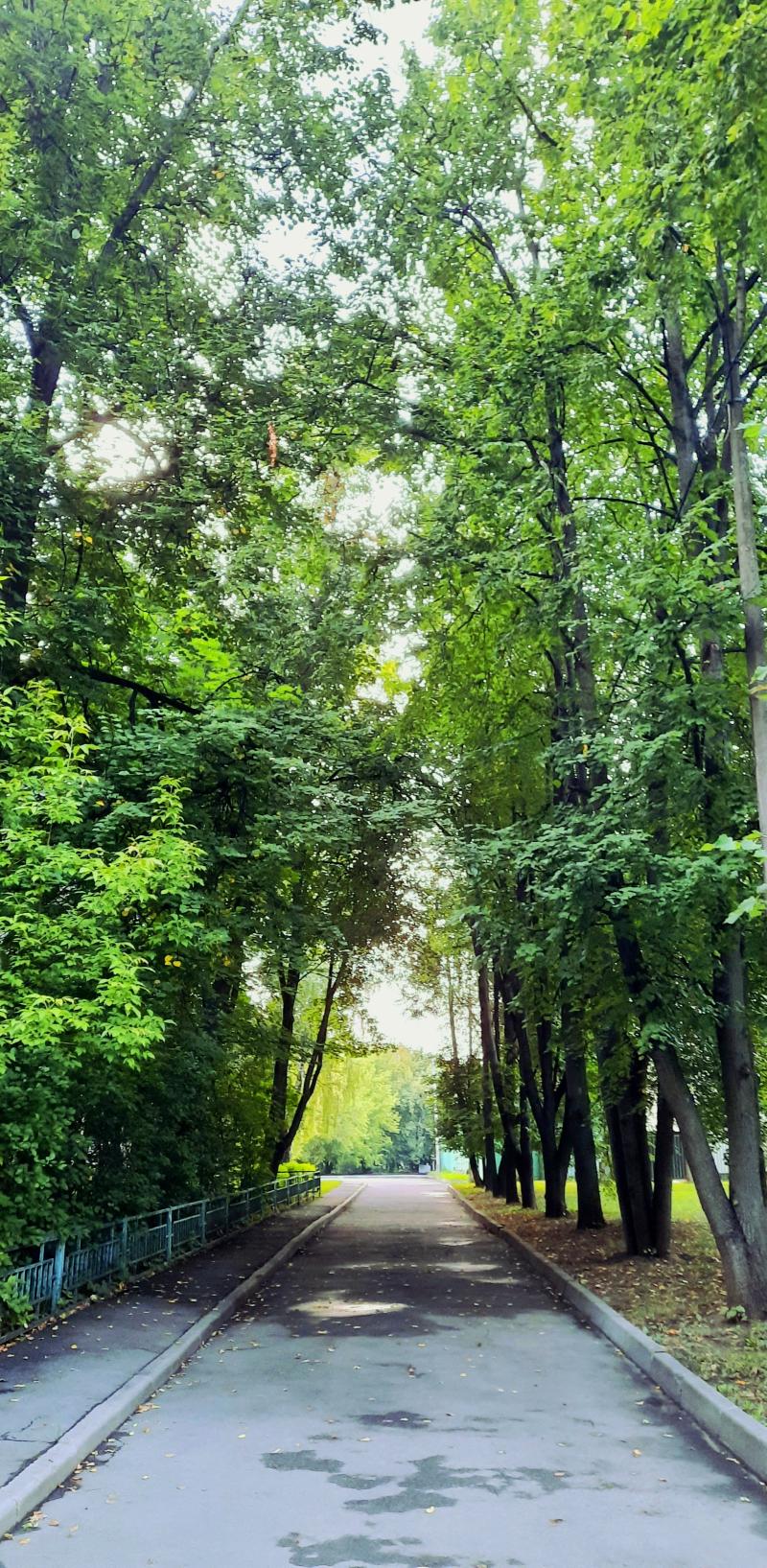 다른 사진들 크롭~ 🏙🌳🌆