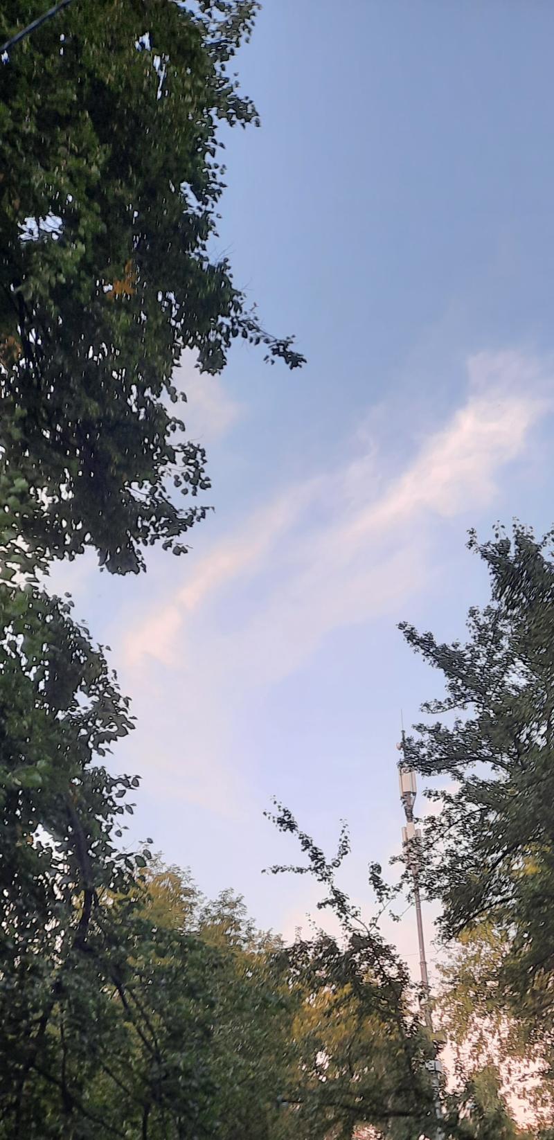 다른 사진들 크롭~ 🏙🌳🌆
