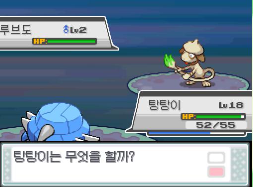 30번 도로에서 포켓몬과 만날 수 있는 횟수 최대 3회/현재 2회 30번 도로에서 트레이너와 배틀할 수 있는 횟수 최대 2회/현재 2회 30번