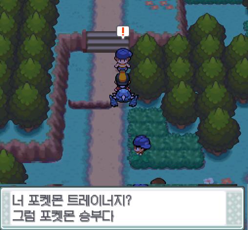 30번 도로에서 포켓몬과 만날 수 있는 횟수 최대 3회/현재 2회 30번 도로에서 트레이너와 배틀할 수 있는 횟수 최대 2회/현재 2회 30번