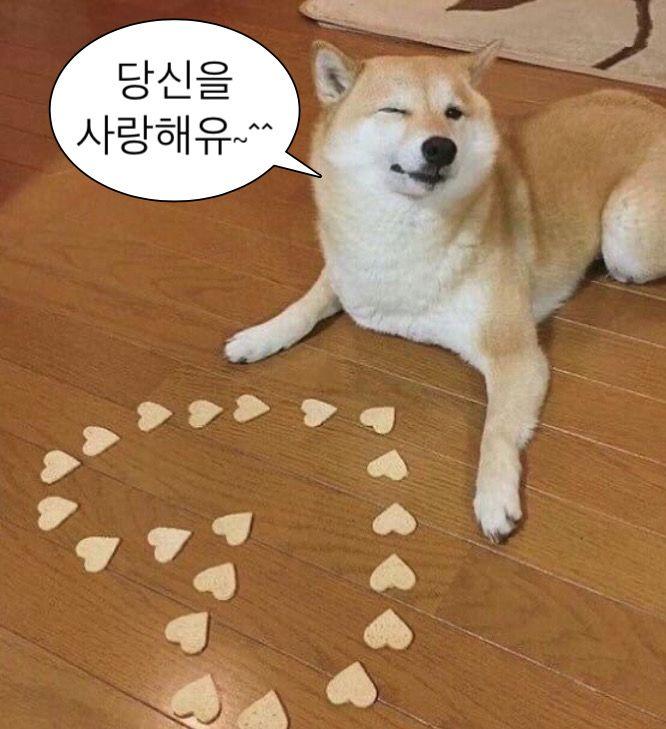 >>7 (둑흔두근세근네근) 감사하오.. 나도 그대처럼 선생님과 만나고 싶소.