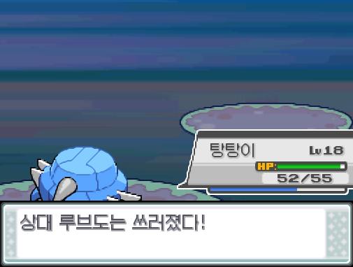 탕탕이의 메탈크로우! 상대 루브도는 쓰러졌다!