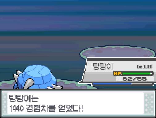 탕탕이는 1440 경험치를 얻었다! 탕탕이는 레벨 19로 올랐다!