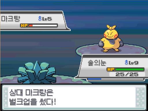 솔의눈의 괴상한 바람! 상대 마크탕은 벌크업을 썼다! 상대 마크탕의 공격과 방어가 올라갔다! 솔의눈은 무엇을 할까? >>252 싸운다: 거미집1