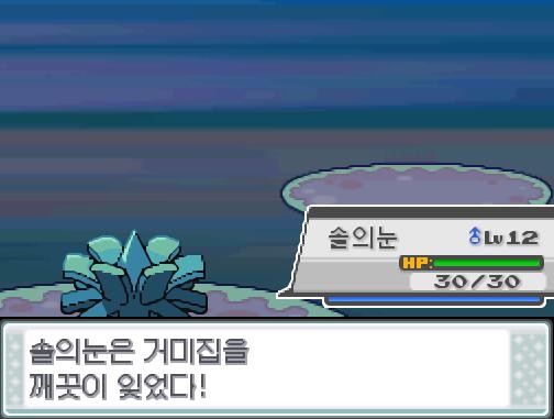 1....2....짠! 솔의눈은 거미집을 깨끗이 잊었다! 그리고! 솔의눈은 새로 박치기를 배웠다! 솔의눈은 레벨 15로 올랐다!