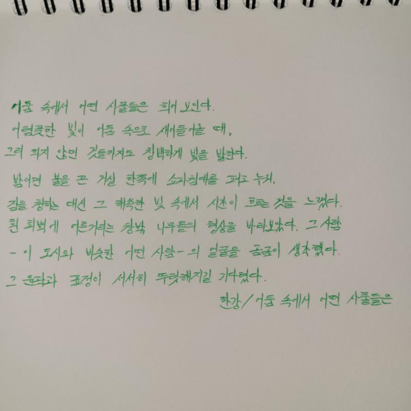 올만에 필사했다~ 한강작가의 흰에 수록된 어둠 속에서 어떤 사물들은 책을 마구잡이로 딱 펼쳤을 때 읽었던 글 당시 처음 접하는 작가였는데 글이