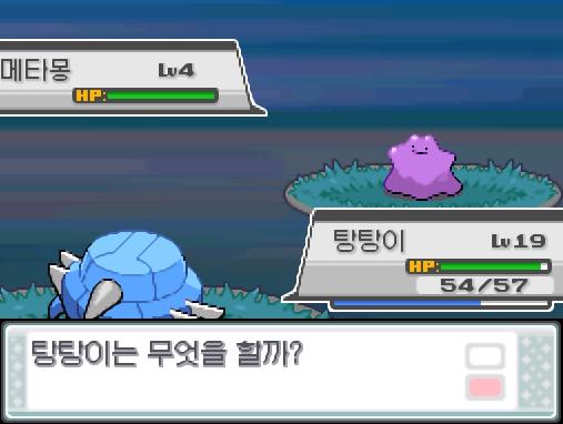 30번 도로에서 포켓몬과 만날 수 있는 횟수 최대 3회/현재 3회 30번 도로에서 트레이너와 배틀할 수 있는 횟수 최대 2회/현재 2회 30번