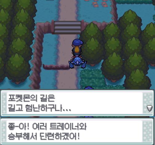 "포켓몬의 길은 길고 험난하구나... 좋아! 여러 트레이너와 승부해서 단련하겠어!" 강철의 말을 무시하고 연가람은 탕탕이에게 말을 걸었다. 탕탕