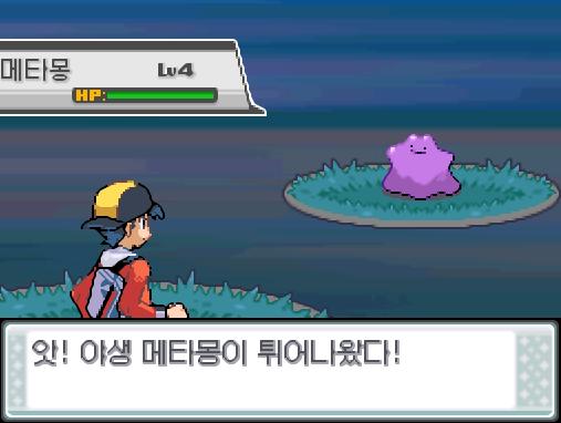30번 도로에서 포켓몬과 만날 수 있는 횟수 최대 3회/현재 3회 30번 도로에서 트레이너와 배틀할 수 있는 횟수 최대 2회/현재 2회 30번
