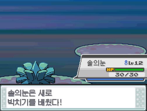 1....2....짠! 솔의눈은 거미집을 깨끗이 잊었다! 그리고! 솔의눈은 새로 박치기를 배웠다! 솔의눈은 레벨 15로 올랐다!
