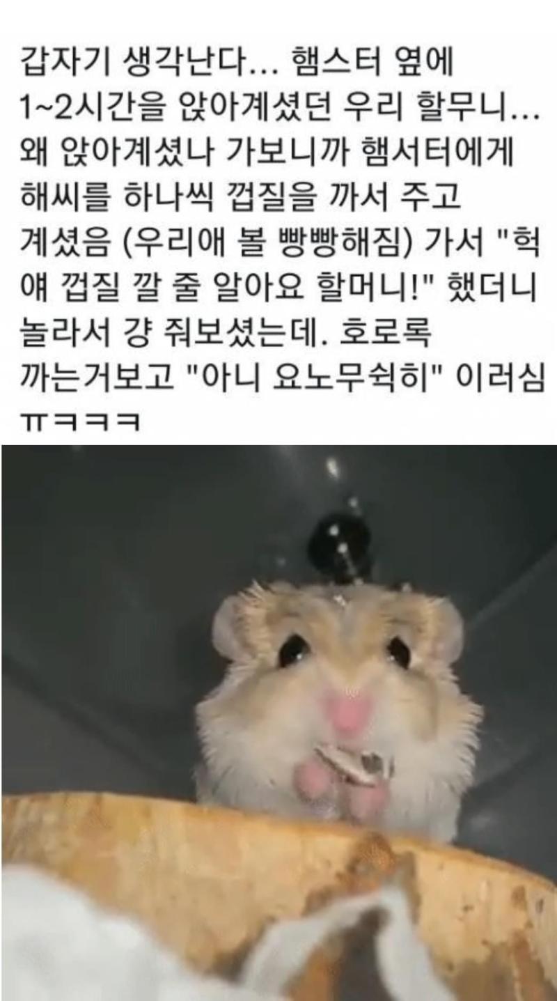 아니 요노무쉭히