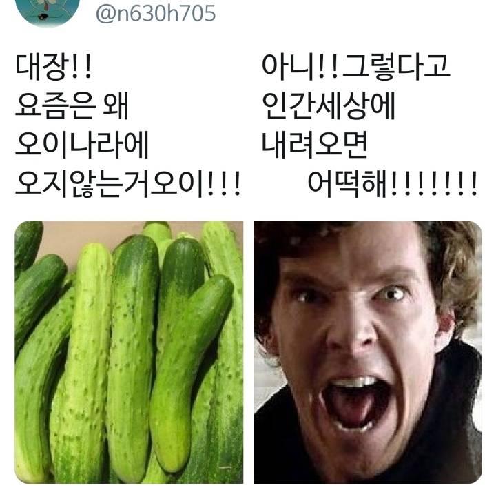 볼때마다 자지러짐